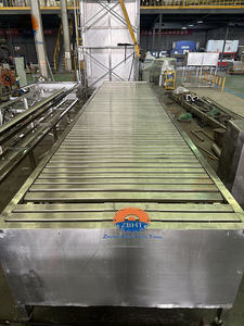 Convoyeur horizontal résistant à la corrosion pour abattage de porcs, équipement de traitement d'abattage, machinerie d'abattoir - Product Image 5