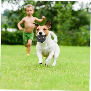 Juguete <span class=keywords><strong>Mordedor</strong></span> Divertido <span class=keywords><strong>para</strong></span> Perros con Forma de Neumático de Camión, Juguete <span class=keywords><strong>para</strong></span> Masticar <span class=keywords><strong>para</strong></span> Perros Pequeños, <span class=keywords><strong>Mordedor</strong></span> <span class=keywords><strong>para</strong></span> Mascotas, Regalo Promocional <span class=keywords><strong>para</strong></span> Tiendas de Mascotas - Product Image 4