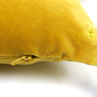 Housse de coussin zèbre rectangulaire avec broderie, taie d'oreiller décorative pour canapé avec pompon