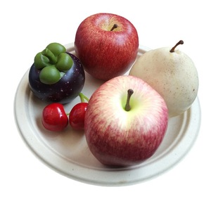 Sac en papier de bagasse de canne à sucre jetable, compostable, biodégradable, non toxique, sanitaire, résistant à la graisse, micro-ondable, personnalisable, 10 pouces, pour le camping - Product Image 6