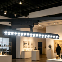Système d'éclairage magnétique : Luminaires linéaires réglables 3 CCT anti-éblouissement pour salle d'exposition