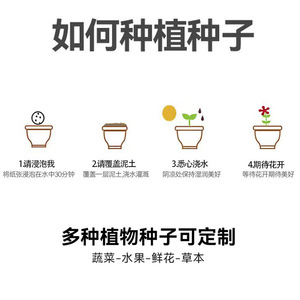 Papel Sembrable Personalizado para Boletos, Tarjetas de Concierto, Invitaciones de Boda, Impresión Digital, Hecho en Zhejiang - Product Image 4