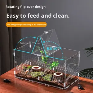 Caja de cría de reptiles acrílica moderna transparente para mascotas, <span class=keywords><strong>Mantis</strong></span>, Cricket, serpiente, unicornio, escarabajo, Caracol, <span class=keywords><strong>cangrejo</strong></span> ermitaño, recinto de montaje - Product Image 2