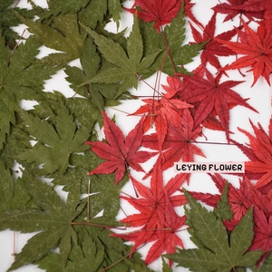 Foglie d'Autunno Colorate Naturali Essiccate in Pezzo Unico, Rosso e <span class=keywords><strong>Verde</strong></span>, per Resina, Arte, Fai-da-Te, Gioielli e Biglietti - Product Image 2