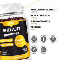 Gummies de Shilajit GMP Halal pour la santé masculine, système immunitaire, Ashwagandha, curcuma, complément de Shilajit, capsules de gomme, résine