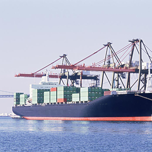 FCL vận tải đường biển quốc tế đại lý vận chuyển từ thâm quyến thanh đảo Ningbo thâm quyến để sao Paulo Brazil đại lý vận chuyển đường biển - Product Image 2