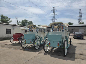 Sale Special Transportation Electric Royal Carriage Luxury Customized 4 Wheel Sightseeing Princess Wedding Carriage - Product Image 5