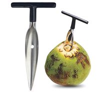 Ouvre-Noix de Coco Portable Pratique en Acier Inoxydable pour Coconuts Jeunes