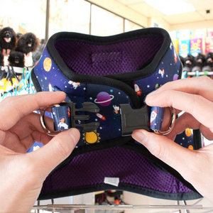 Harnes hewan peliharaan dapat diatur nyaman terbaik untuk anjing kecil & sedang mudah dipakai tanpa fitur tarik disertakan - Product Image 5