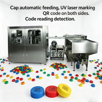 Système intégré de marquage et d'inspection laser UV entièrement automatique pour les lignes d'emballage de casquettes avec traçabilité