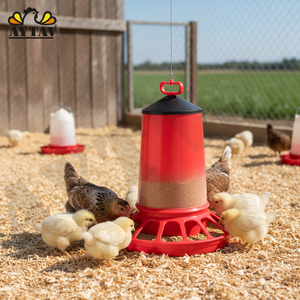 Comedero Automático para Pollos de 20 kg, 44x62 cm, Plástico, AYTAV, Nuevo Equipo de Transporte para Aves Vivas en Granjas Avícolas - Product Image 3