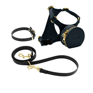 बिल्ली के छोटे कुत्ते के लिए पट्टा के साथ पालतू बैकपैक हार्नेस के लिए प्रशिक्षण लीड लीश के साथ पालतू जानवर का उपयोग - Product Image 5