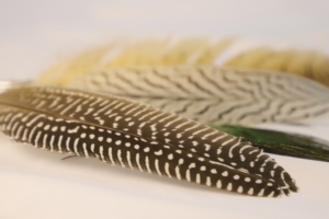 Penna a sfera in piuma di pavone di pavone vogn - Product Image 6