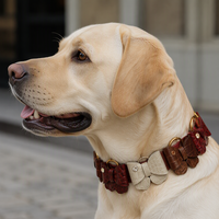 Ensemble d'accessoires pour collier de chien en cuir marron, rouge et ivoire, avec breloques nœud, anneaux métalliques et fermoirs à pression effet croco