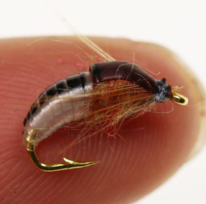 Caddis Pupa Artificial Ninfas Scud Bug Gusano Larvas Moscas Con Gancho De Púas Trucha Insecto Pesca Con Mosca Señuelo Cebo - Product Image 5
