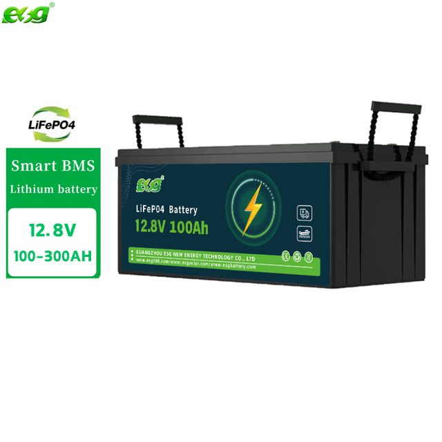 ESG 12.8V LiFePO4 Battery AGM/GEL Deep Cycle Energy Storage 100ah/200ah/300ah BMS Lithium Ion Battery Pack for RV Marine Use