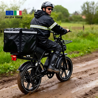 Vélo Électrique Rétro Style Cyclomoteur 250W 48V Pneus Larges Double Siège Double Suspension Amortie Frein à Disque Commuter Livraison Vente en Gros E-bike