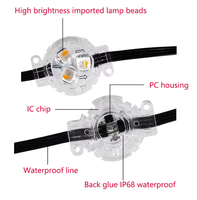 Luz LED de Píxeles RGB SMD5050 de 30 mm, 12 V, IP68, Aleación de Aluminio, CRI80, Iluminación Navideña Permanente para Exteriores