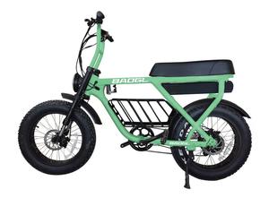 Bicicleta Eléctrica de 20 Pulgadas con Ruedas Anchas, Doble Motor y Doble Batería, 2000W ATV08X - Product Image 6