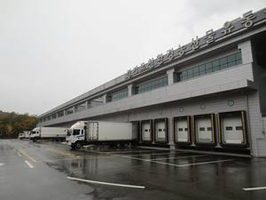 ทางลาดยกของแบบแมนนวล TM PEDANE รุ่น CR60B-W2000xL600 มม. รับน้ำหนักได้ 4000 กก. ผลิตจากอลูมิเนียมอัลลอยด์ สำหรับการขนส่งสินค้า - Product Image 6