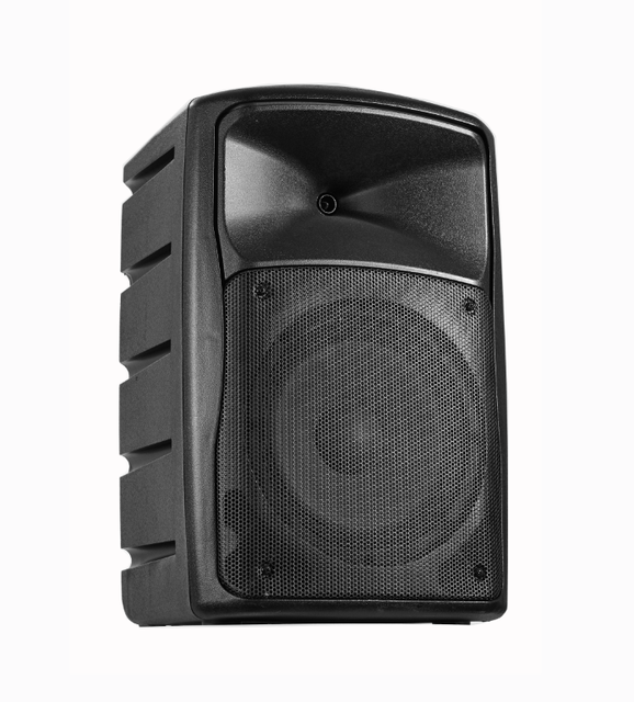 10 Inch Portable Powered Speaker with Wireless Mic Professional Active Speakers for Outdoor Karaoke & Party Entertainment