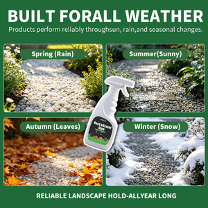 Adhesivo Acrílico Permeable para Grava, Revestimiento Líquido para Grava y Piedras, para Paisajismo Exterior, Ecológico, Anti-UV, de Larga Duración - Product Image 2
