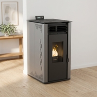 Poêle à granulés à air chaud PS-60 haute efficacité, chauffage autonome au bois et biomasse pour maison, appartement, chauffage intérieur à air chaud