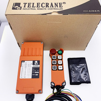 Télécommande sans fil F21-E2m pour grue industrielle électrique avec boutons autocollants