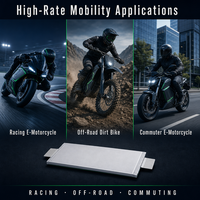 TPENERGY 60Ah 71Ah 86Ah 55Ah 65Ah Sel Li-ion Pouch 5C 8C 16C High Rate Paket Baterai Sepeda Motor Listrik Ebike Perakitan DIY