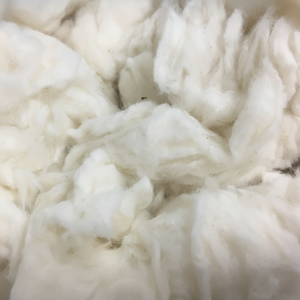 2021 superventas de alta calidad peine Noil blanqueado/algodón sin blanquear para hilar y rellenar patrón de materia prima - Product Image 1