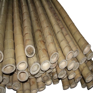 Pólo De Bambu Cru De Grande Diâmetro, pólos De Bambu Grande Uso De Construção De Alta Qualidade, polos De Bambu Moso De China Tamanho Feito Sob Medida - Product Image 3
