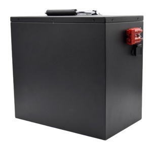 แบตเตอรี่ลิเธียมไอออนสำหรับรถจักรยานยนต์รถสามล้อไฟฟ้า48V LiFePO4 50Ah - Product Image 5