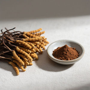 Extrato Cordycepin 98% CAS 633-65-8 de alta qualidade de Longsheng Cordyceps Militaris - Product Image 2