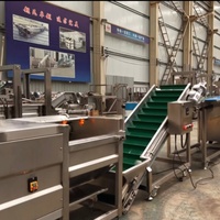 Commerciële productielijn voor het verwerken van frieten, inclusief technologie voor het snijden en frituren van aardappelchips en een machine systeem voor de fabricage.
