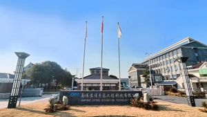 Edelstahl SS 304L 316L Titan Pall Ring Zufällige Verpackung SUTONG Marke ISO9001 Zertifiziert für Chemikalien - Product Image 6