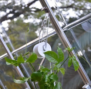 Kit <span class=keywords><strong>de</strong></span> treillis suspendu pour plantes grimpantes en <span class=keywords><strong>serre</strong></span>, avec crochet à rouleau pour tomates et 30 m <span class=keywords><strong>de</strong></span> ficelle pour le soutien des plantes <span class=keywords><strong>de</strong></span> <span class=keywords><strong>jardin</strong></span> - Product Image 1