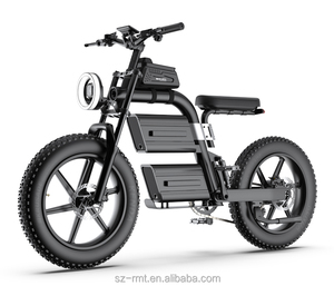 Vélo électrique de ville à pneus larges avec batterie au lithium 60V 2500W, moteur sans balais à moyeu arrière, vélo cargo 20Ah, recharge facile - Product Image 1