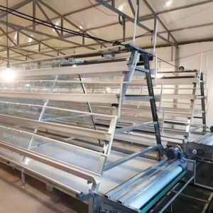 Nouvelle cage à batterie en acier alliage zinc-aluminium-magnésium de marque CHUANGYI, longue durée de vie, pour l'élevage avicole, en forme de A, pour poules pondeuses - Product Image 5