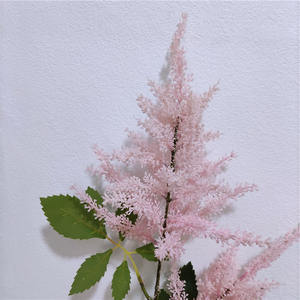 Nouvelle herbe de la <span class=keywords><strong>pampa</strong></span> à <span class=keywords><strong>tige</strong></span> unique, fleur séchée, petite fleur <span class=keywords><strong>artificielle</strong></span>, marron, blanc, gris, 85 cm, vente en gros - Product Image 4