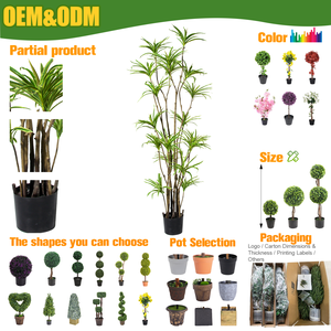 RUOPEI Dracaena Marginata Pianta Artificiale, Albero Finto Ignifugo, Ecologico, Inodore, Vegetazione Tropicale per Interni Domestici - Product Image 2