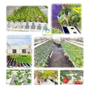 ท่อพีวีซี Nft สีดำ100X50มม. เกรดอาหารที่ถอดออกได้ท่อไฮโดรโปนิกส์ร่องท่อพืชลาดด้านล่างพร้อมสันระบายน้ำ - Product Image 6