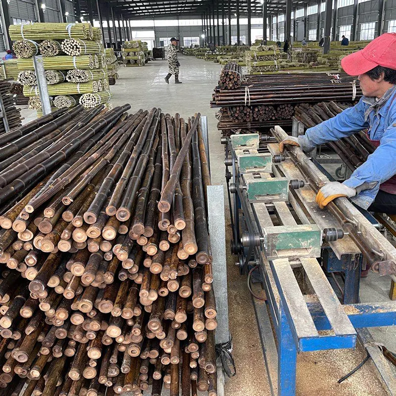 Tanaman Alami Lurus Ramah Lingkungan Mendukung Tiang Bambu 3M Di Tiongkok