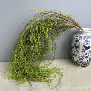 Plantes artificielles suspendues, type mousse, pour mur végétal, guirlandes de <span class=keywords><strong>saule</strong></span>, présentation en vitrine, aménagement de plafond - Product Image 1