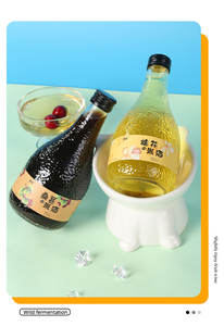 Köstlicher fruchtiger Karbonat-Sekt in der Flasche, der natürlich mit niedrigem Alkohol gehalt zubereitet wird Zuckerfrei und Haupt bestandteil - Product Image 6