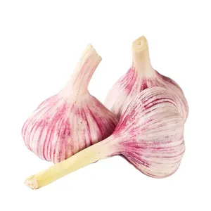 China Wholesale Garlic Red White Yellow Garlic with Best Price for Export Fresh Vegetable