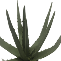 CHUANGFA 34cm Künstliche Aloe Vera Pflanze Produkt Genre Künstliche Pflanzen & Grün