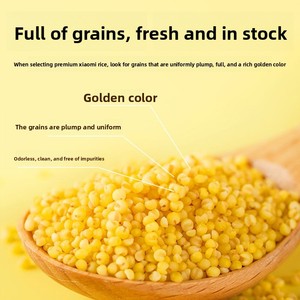<span class=keywords><strong>Millet</strong></span> Huangxiao à germines dorées de la rivière Chuan, variété K1, récolte nouvelle, 25 ans de maturation, idéal pour la cuisson de porridge, parfum riche, pur et naturel - Product Image 1