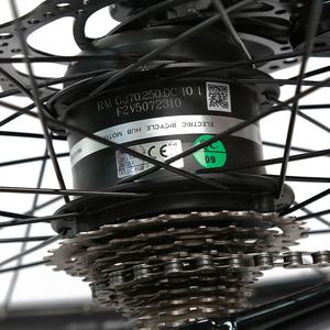 TXED-Mini vélo électrique 250W BAFANG arrière 36V/7.8Ah batterie lithium 20 vitesses, vélo de route électrique - Product Image 6