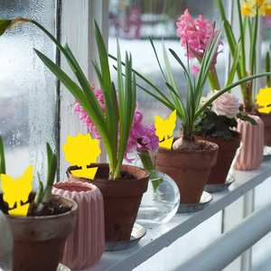 Bán buôn Natur Pest kiểm soát sản phẩm công nghệ thiết bị trái cây Fly Catcher nấm Gnat Keo Bẫy Vàng dính côn trùng Hội Đồng Quản Trị - Product Image 5
