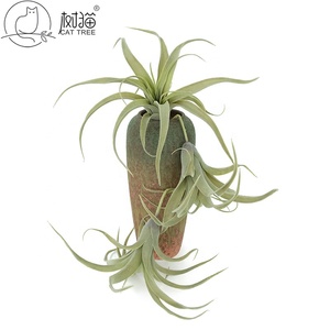 High Quality <strong>Large</strong> Flocked Succulent <strong>Fake</strong> Grass Tillandsia Artificial <strong>Plant</strong> for Decoration - Product Image 6